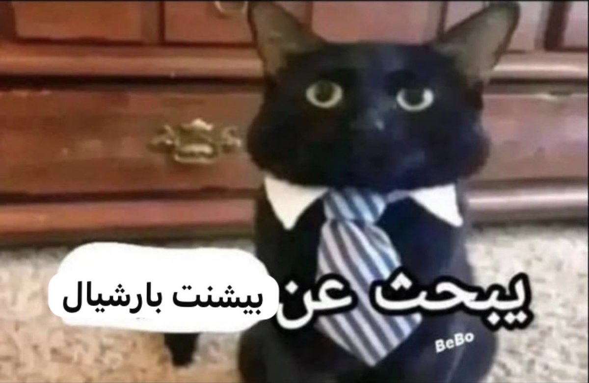 Sayed 🇵🇸 tweet media