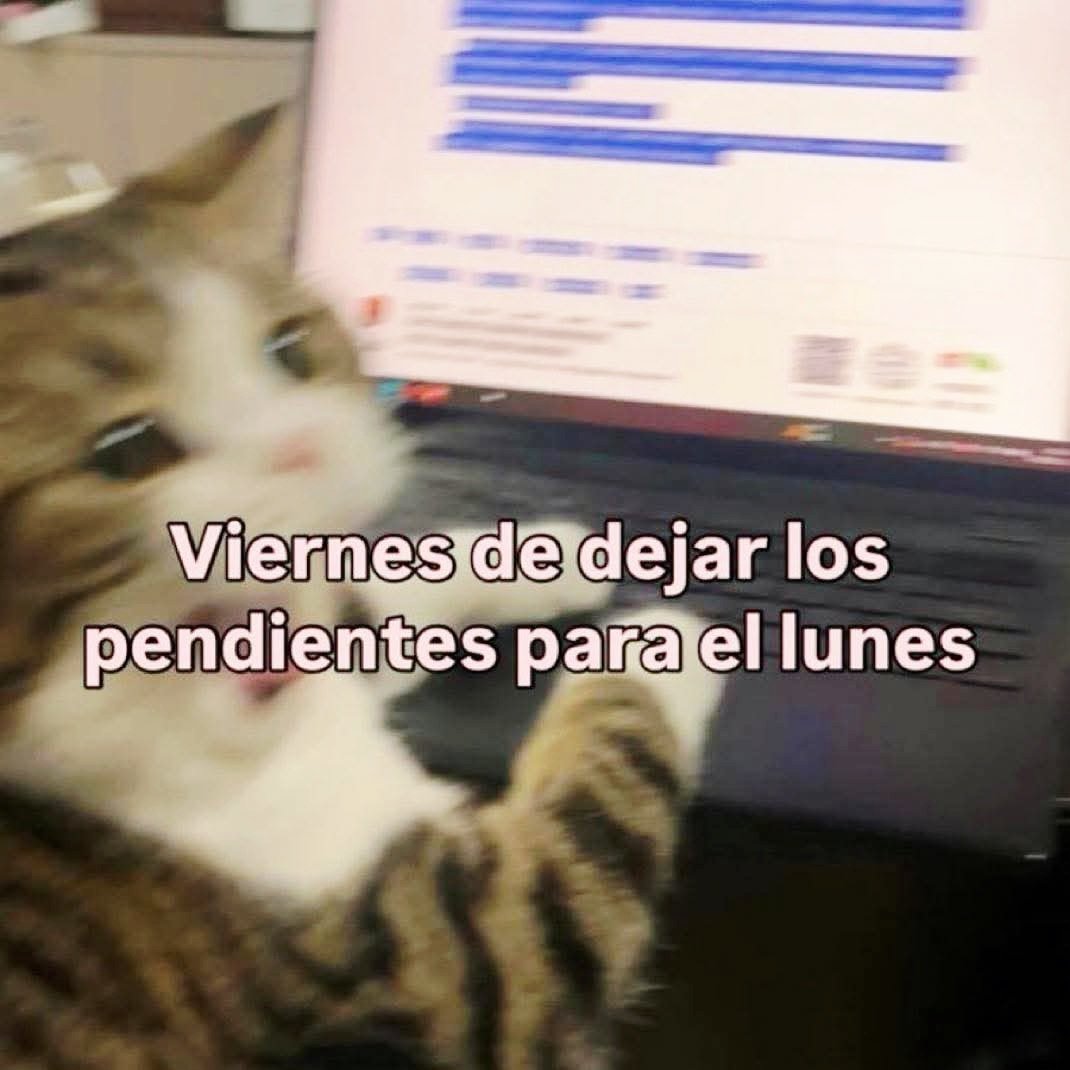 MadreMemestrosa tweet media