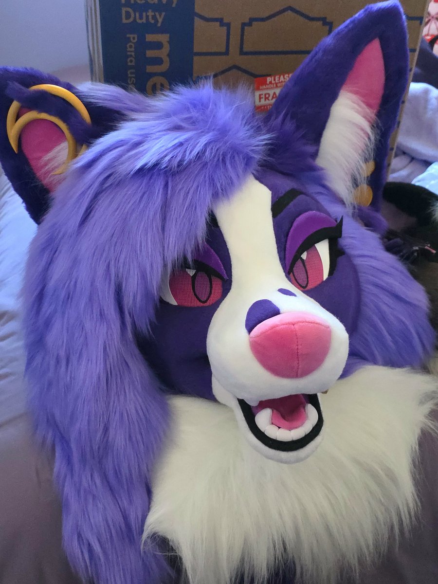 👑 𝕻𝖔𝖗𝖘𝖈𝖍𝖊 𝕱𝖔𝖝 💜 tweet media