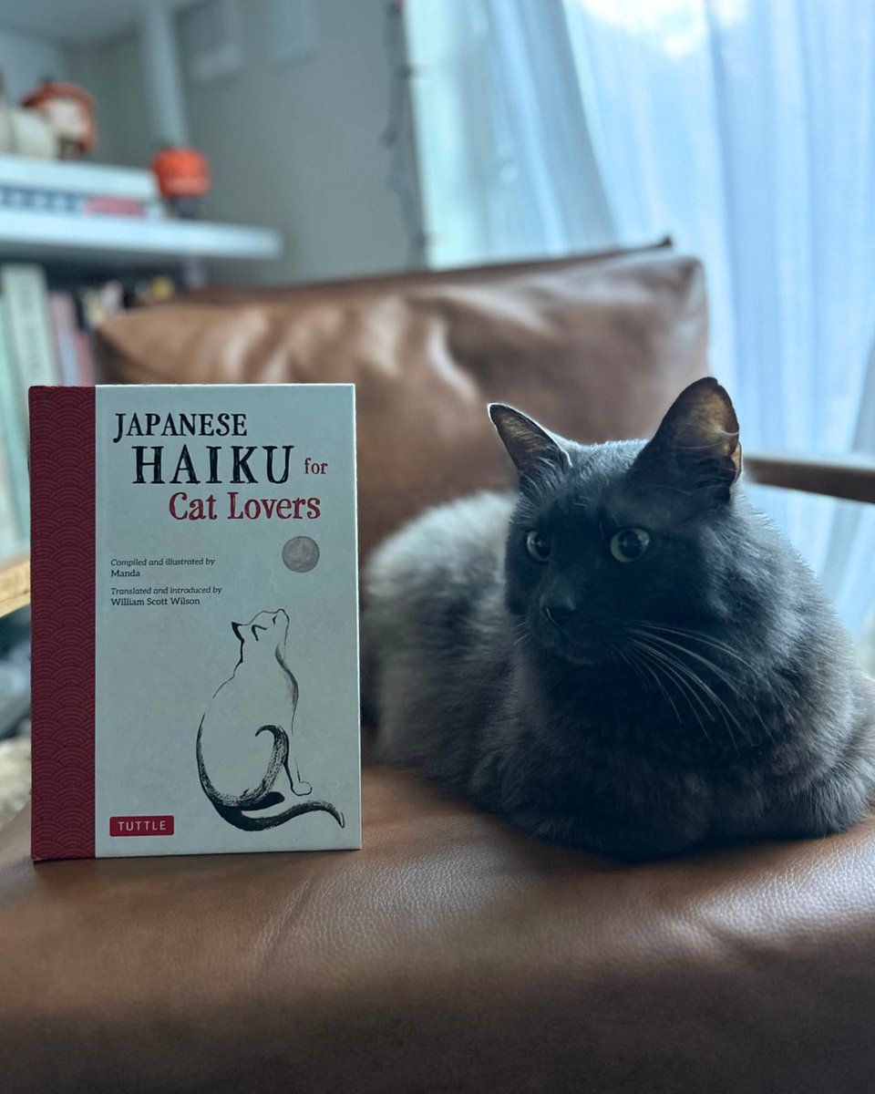 Tuttle Publishing tweet media