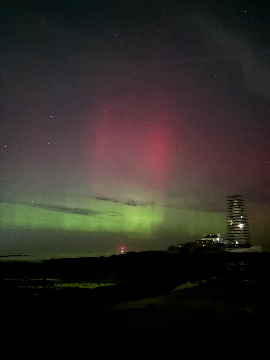 Nina-Serena tweet media