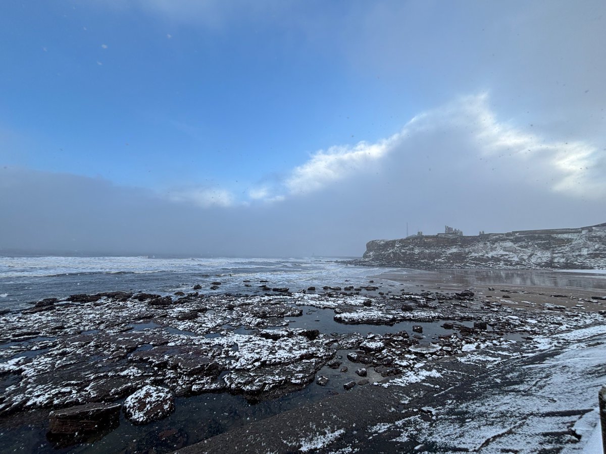 Nina-Serena tweet media