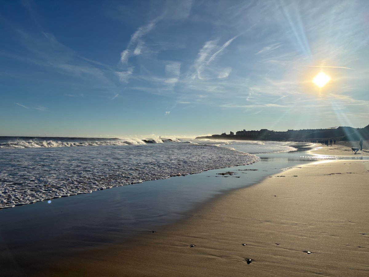 Nina-Serena tweet media