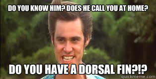 Pat Kinsel tweet media