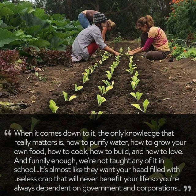 healthbot (@thehealthb0t) on Twitter photo 