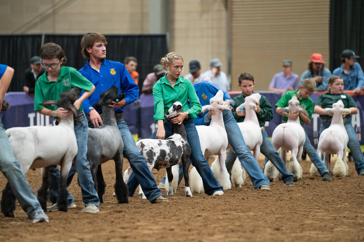 Tulsa State Fair tweet media