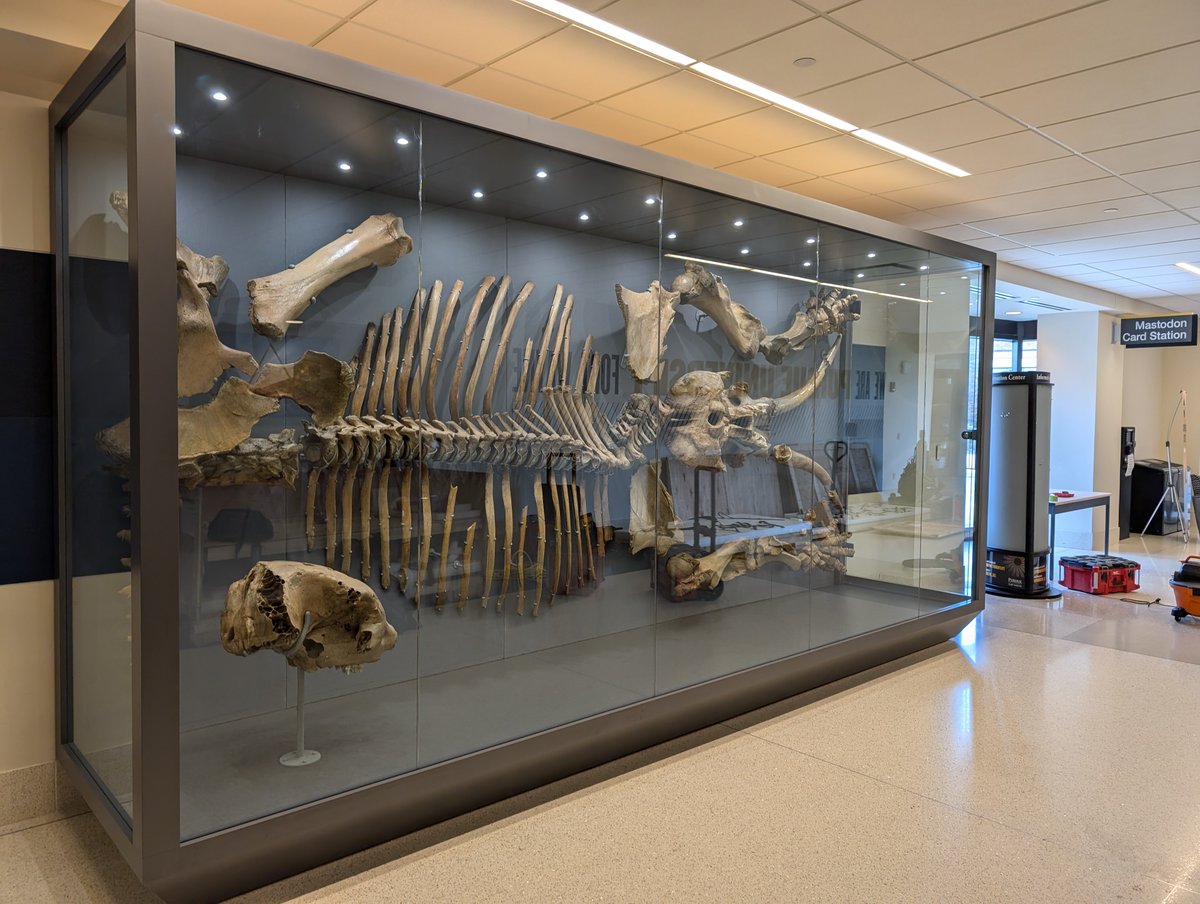 Research Casting International tweet media