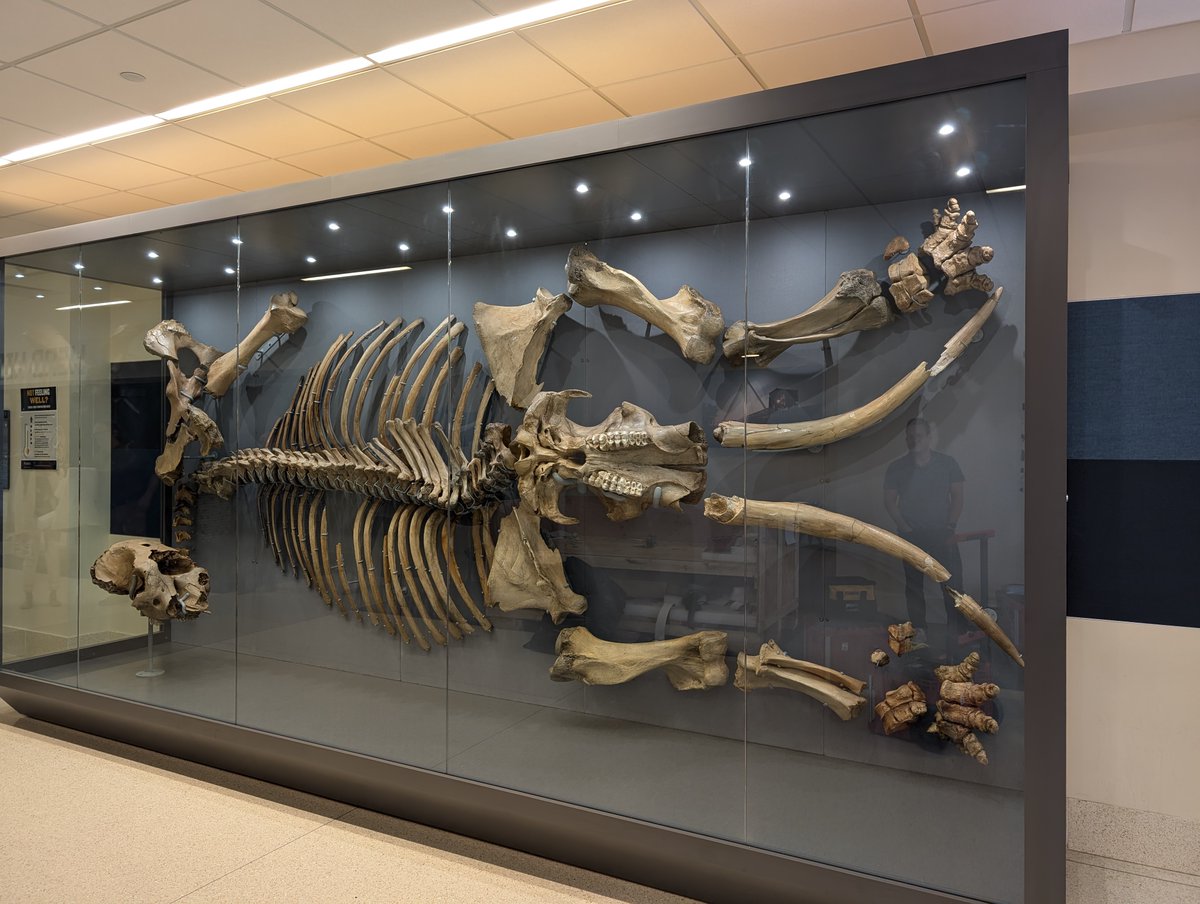 Research Casting International tweet media