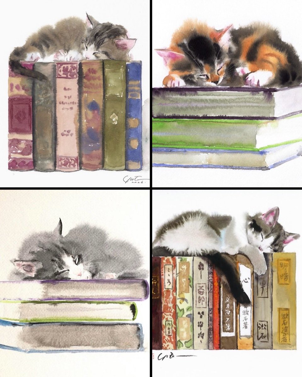 Books and cats by Yutaka Murakami