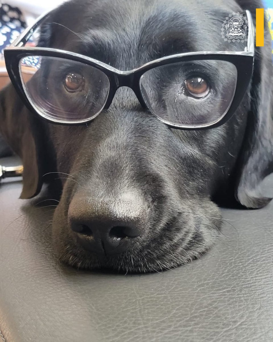 Calgary Police tweet media