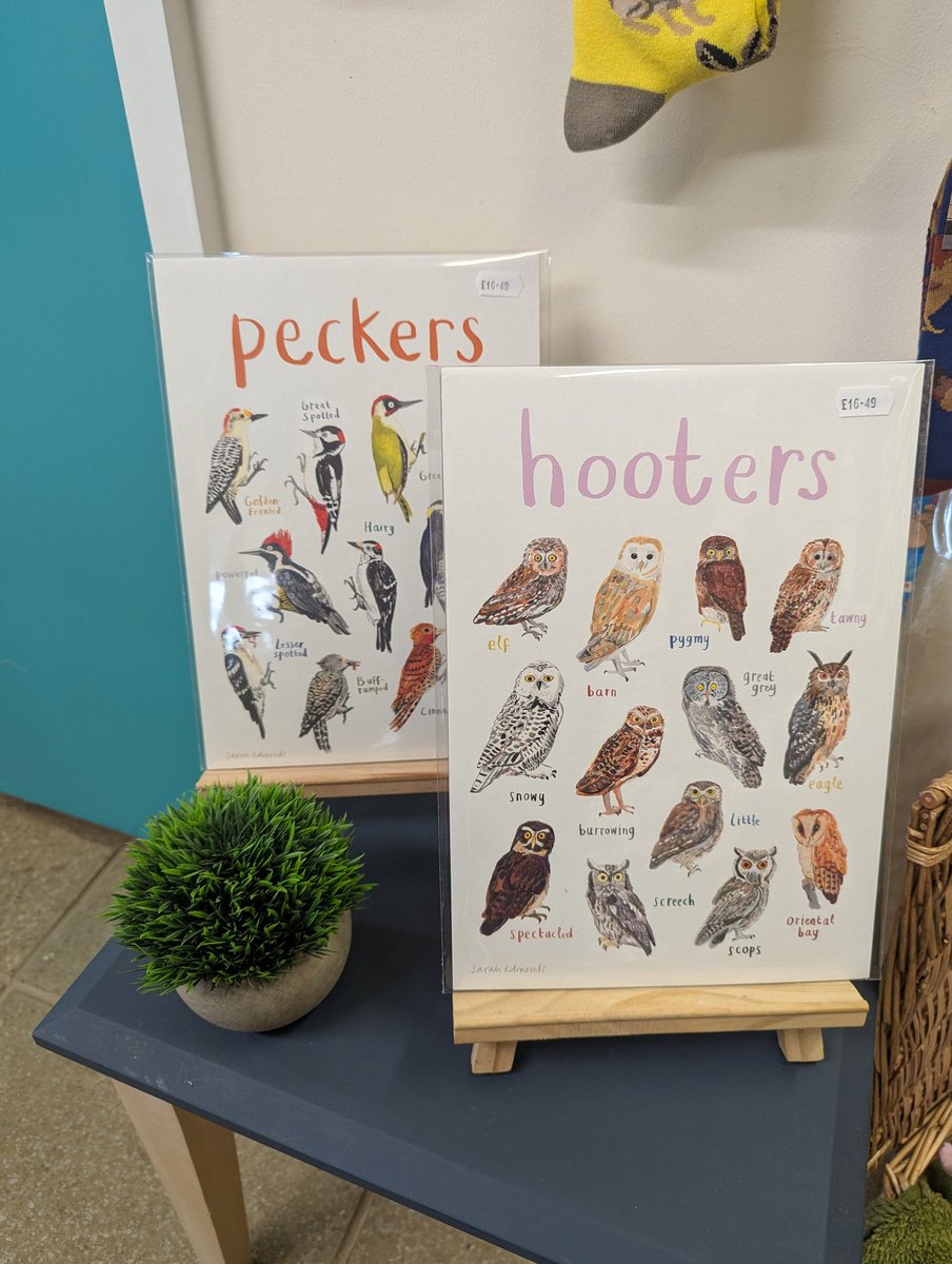 RSPCAEastWinch's tweet image. Our shop is OPEN tomorrow till 3:30pm 😊 some new stock is in! We have several seal pups in the pools too! See you then 😊 #seals #pools #gifts #shop #visitors