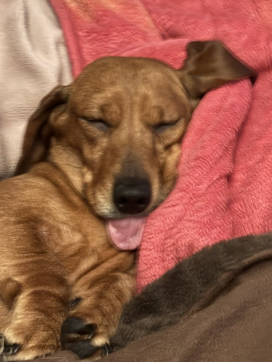 мiсhеllе тhоmsоn tweet media