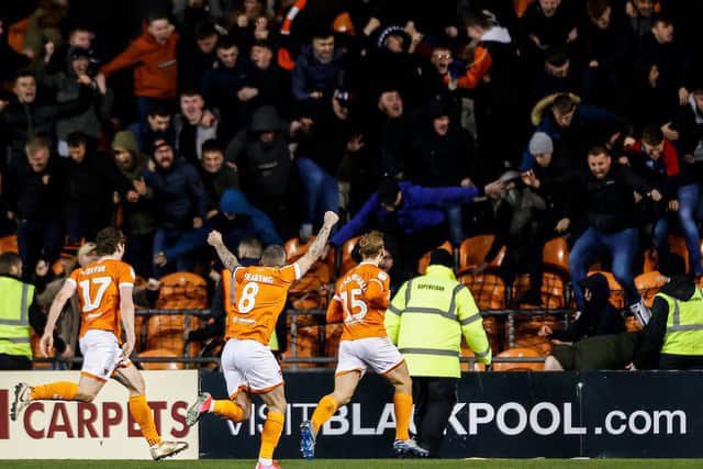 Bloomfield Bear tweet media