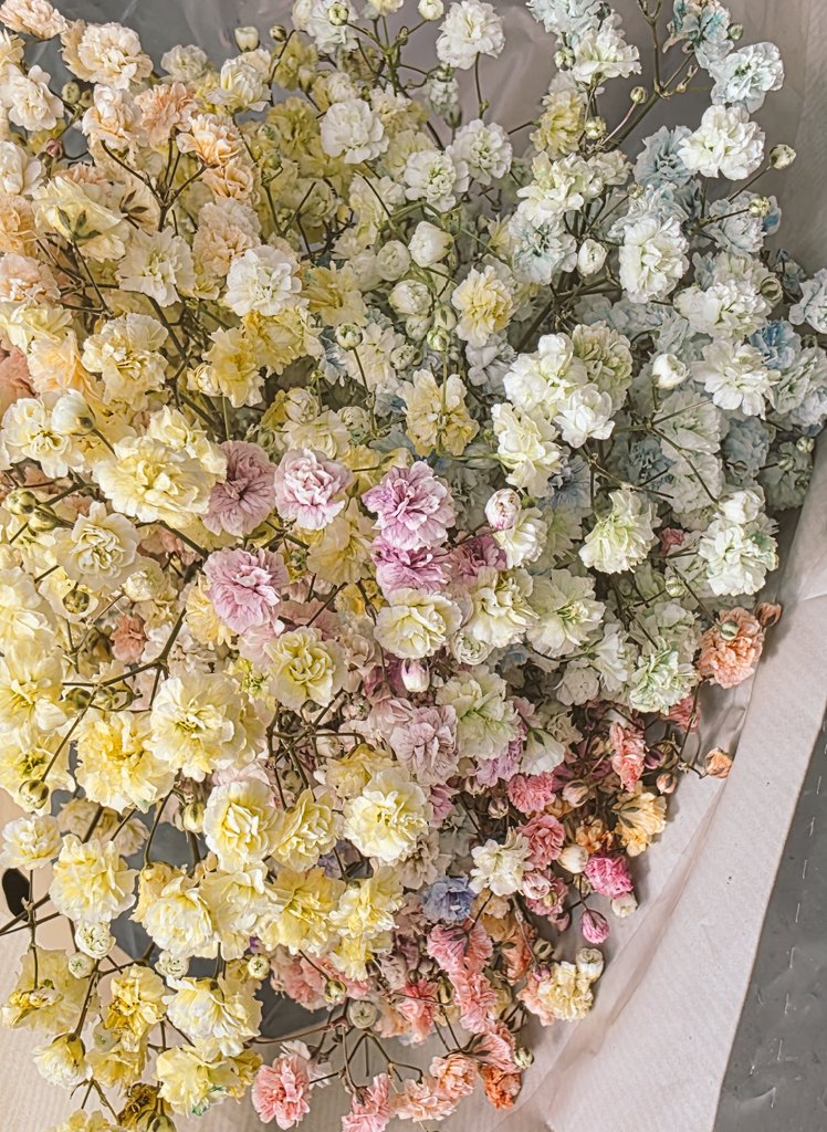 Baby, cleanse me. 💐🌸

Picked up some baby's breath for some spellwork and I cannot get over the colors. 🥺

It's time for a new altar, new beginnings. 🌿🖤