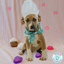 Woodman Wolves tweet media