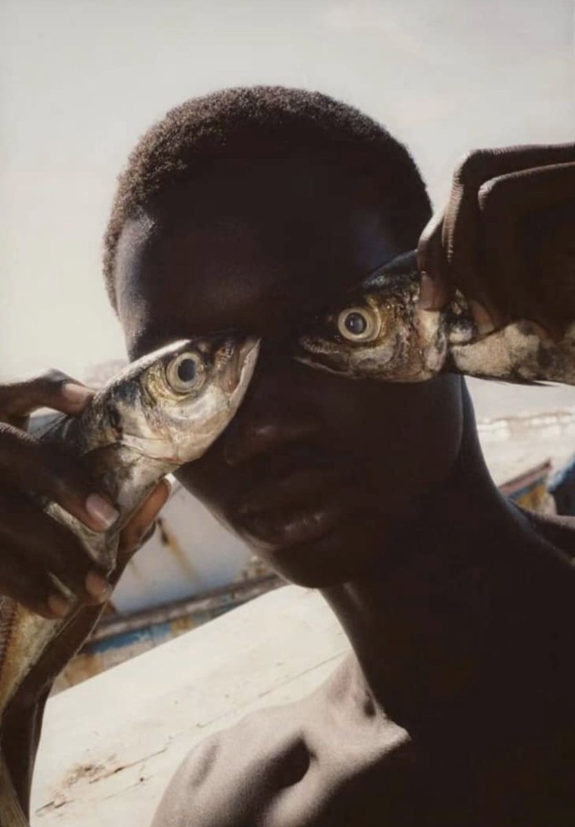 🧘🏾‍♂️🧘🏾 (@gtagmemes) on Twitter photo 