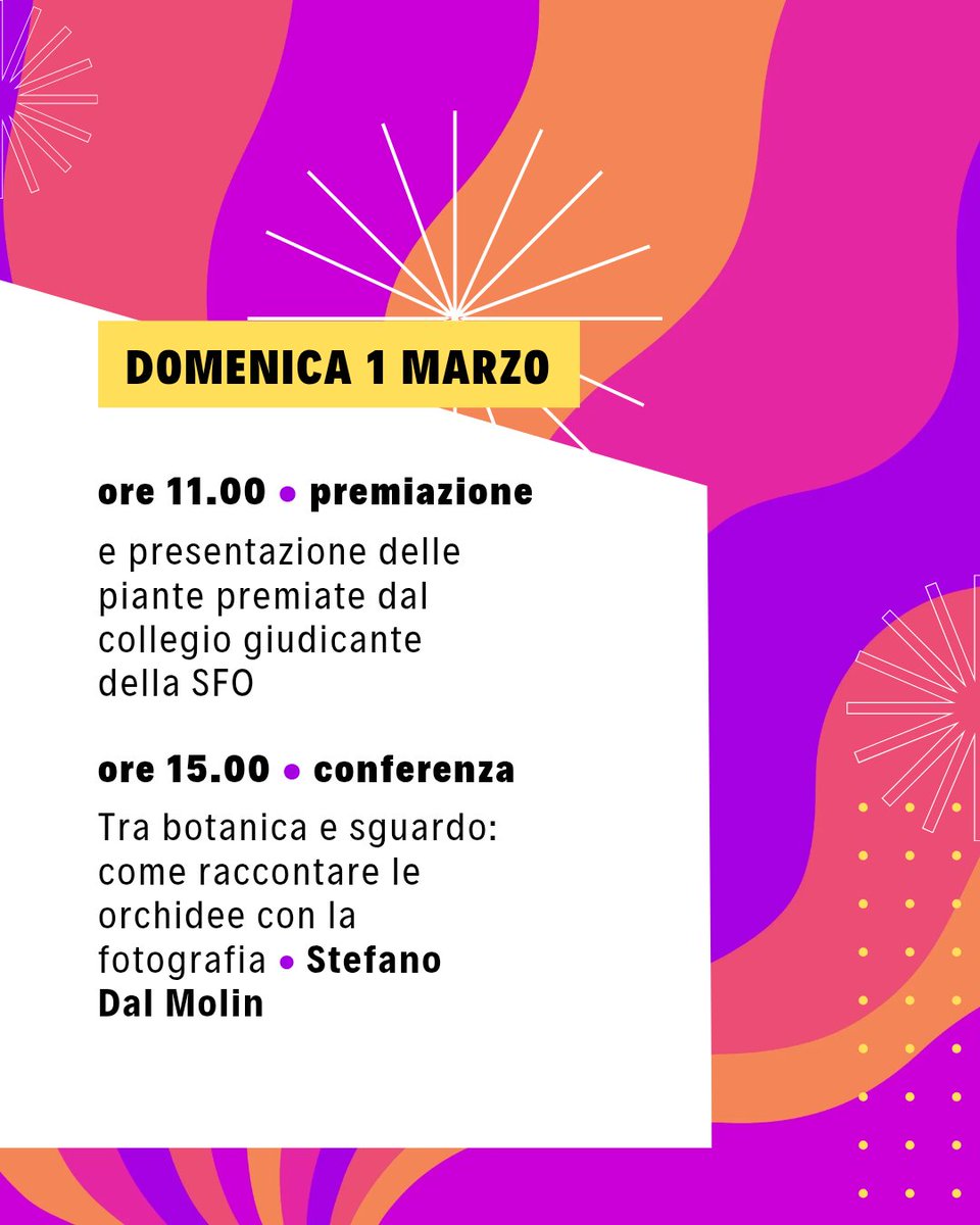 Orchidofilia tweet media