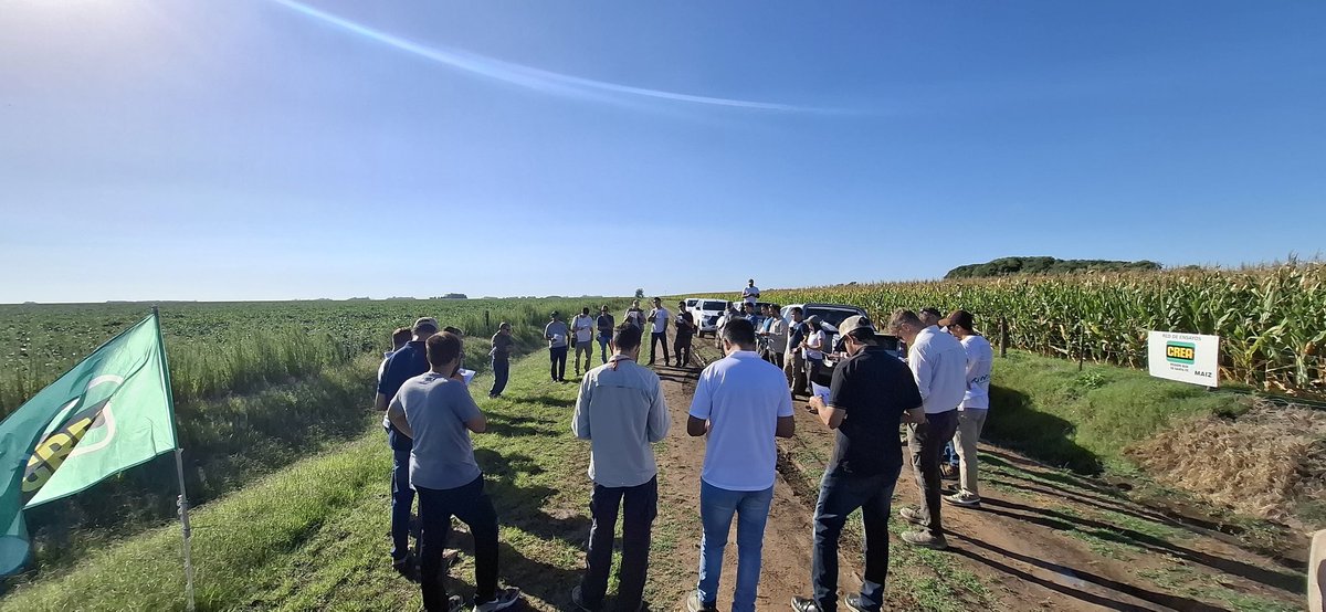 Crea Sur de Santa Fe tweet media