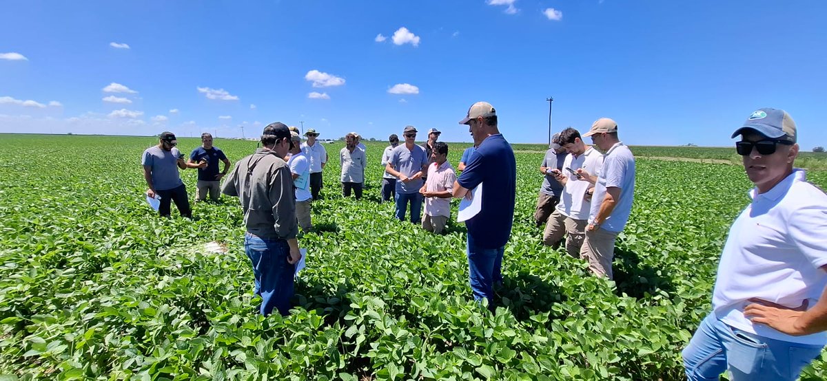 Crea Sur de Santa Fe tweet media