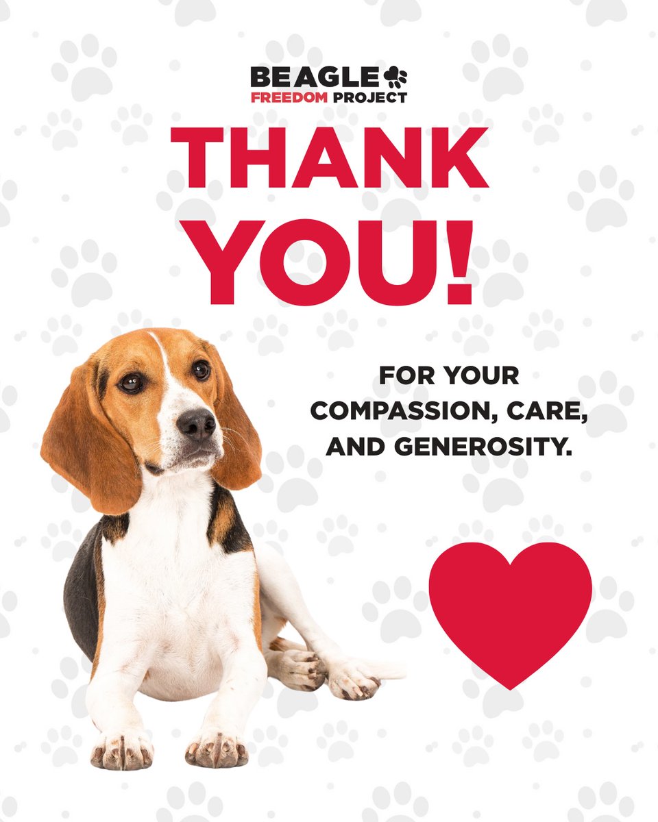 When animal testing labs shut down, animals aren’t always sent to rescues like BFP💔 If they're not killed, some are dumped in shelters or adopted out w/ no info about their special needs.

We've created a FREE Care Guide to help w/ trauma-informed care: tinyurl.com/2esx5xfa