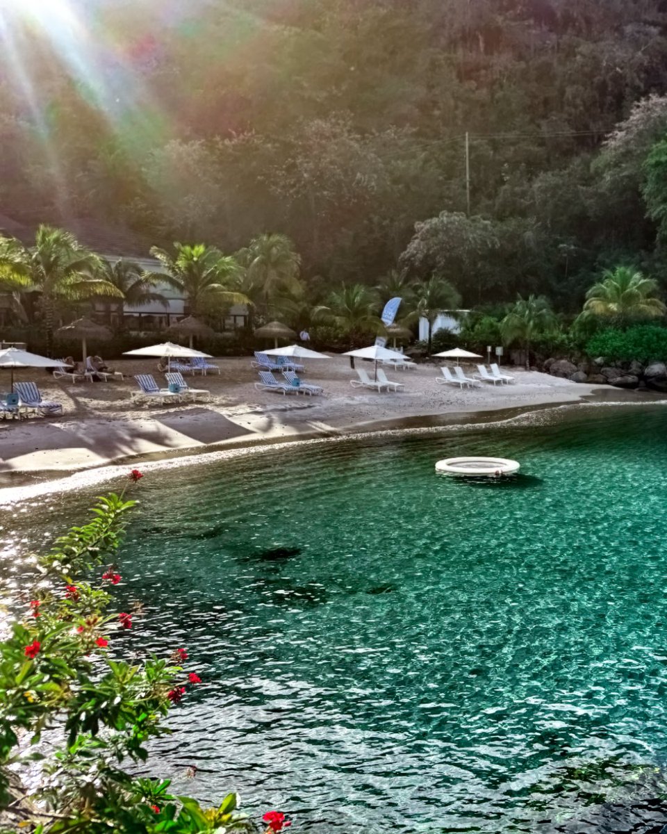 Adam Stewart tweet media