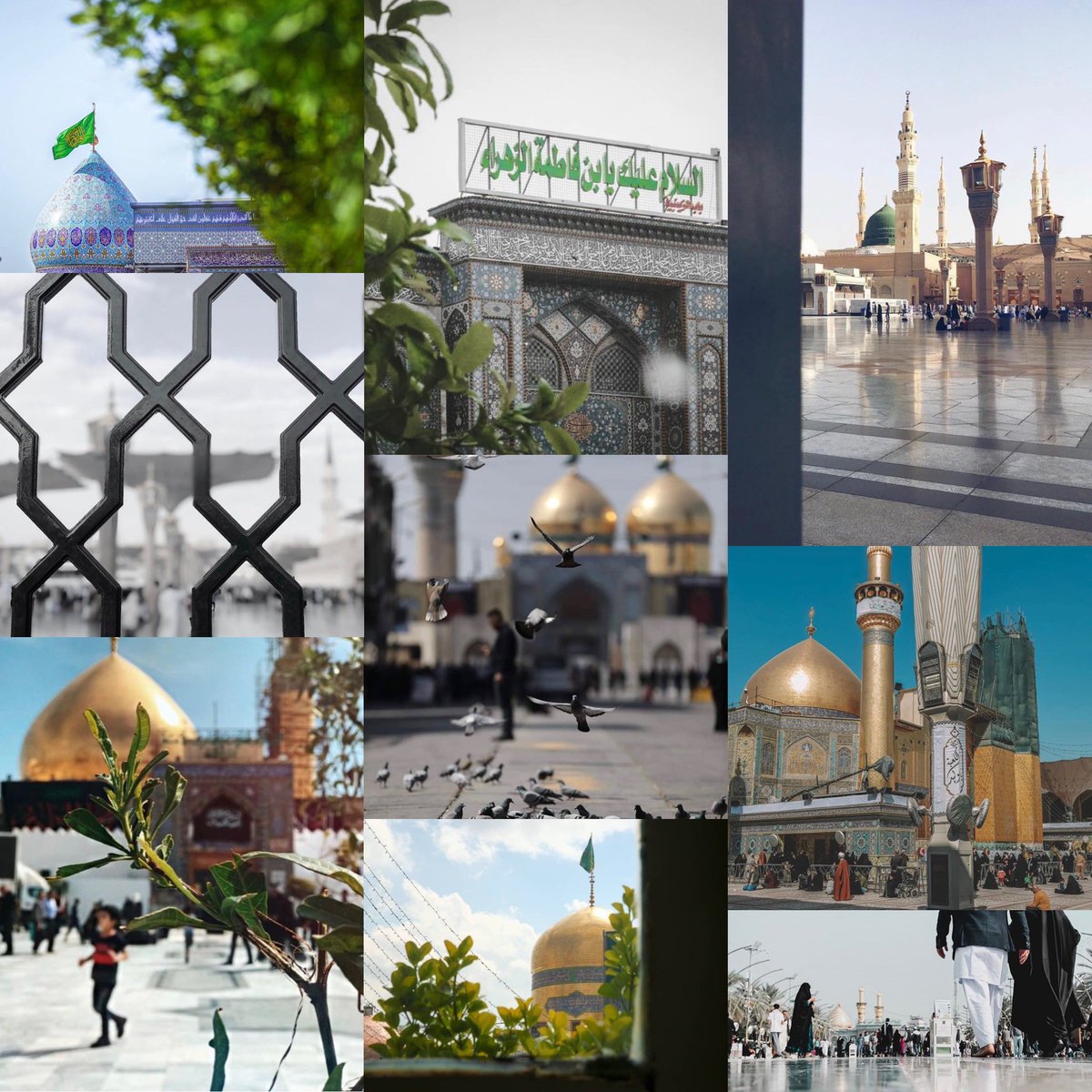 اَللّهُمَّ لا تُخْلِني مِنْ تِلْكَ الْمَشاهِدِ الشَّريفَةِ ..🤍