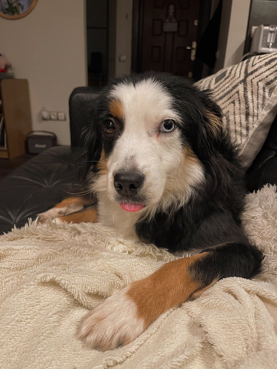 сюпа_спoйлeр tweet media