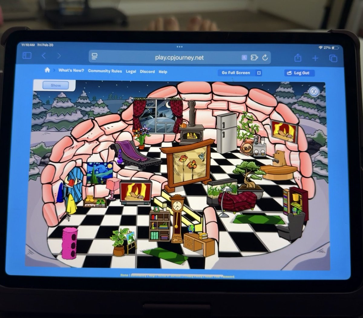 i work hard so my igloo can look like this🤪