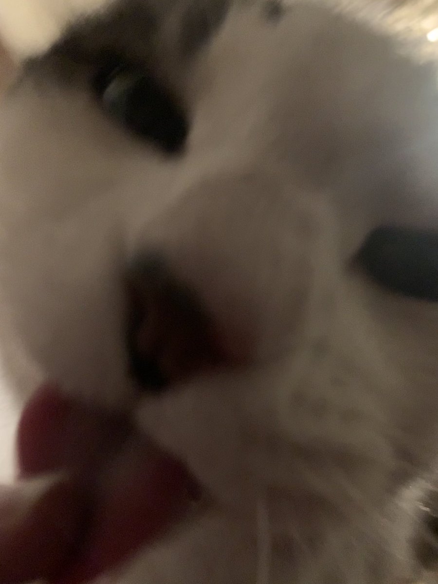 When there’s wet meat slop at the function💗