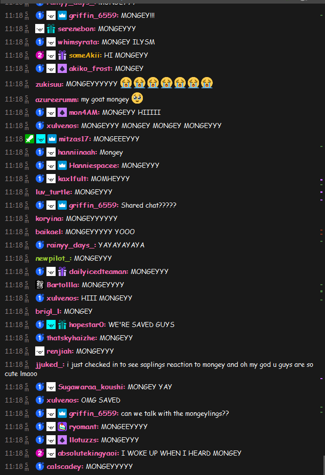 guys i cant tell does the chat like mongey or something
