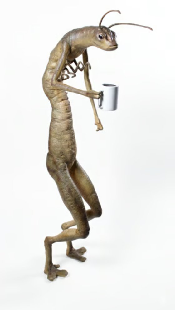 ScooterBoy 🦖 tweet media