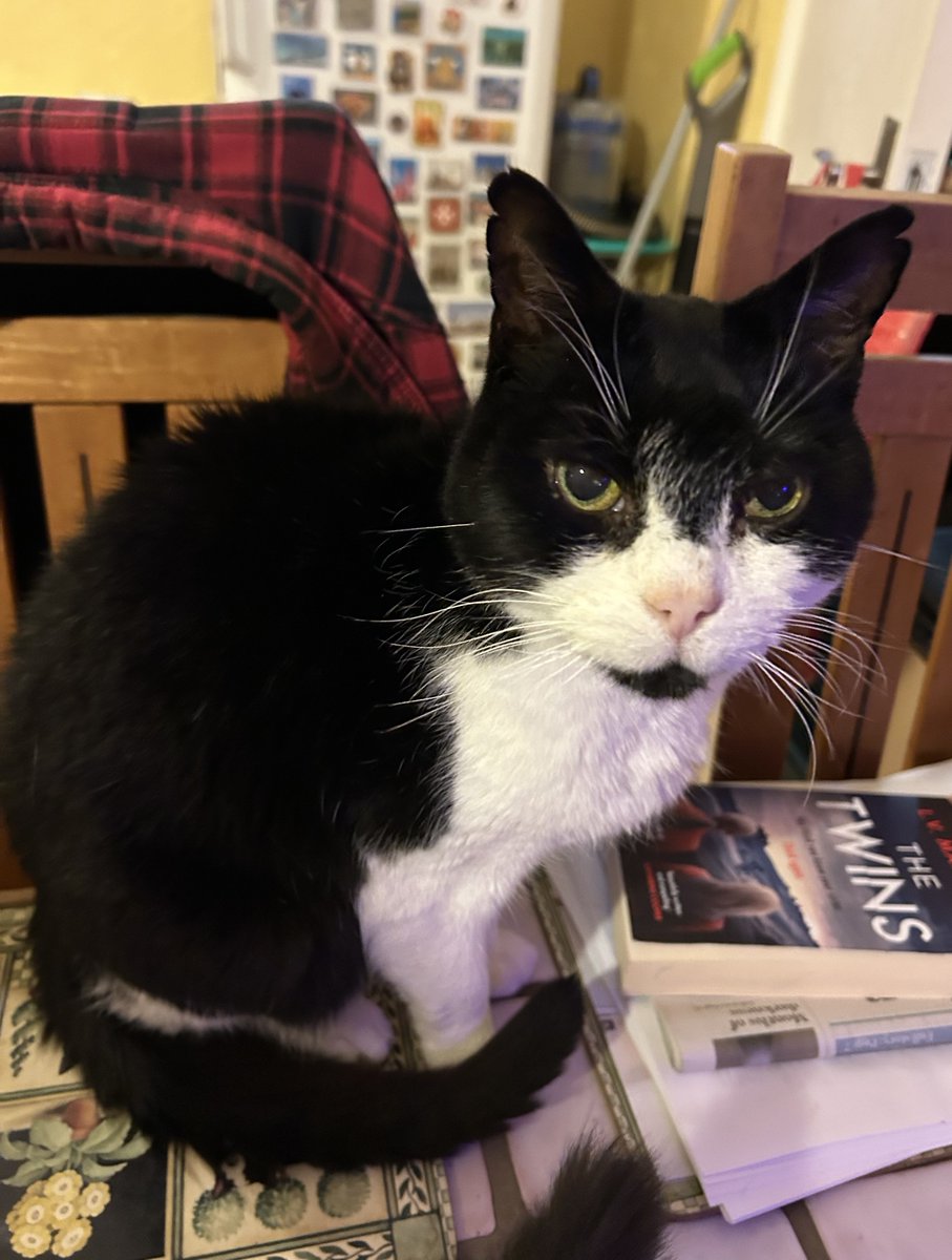 D.V. Catt tweet media