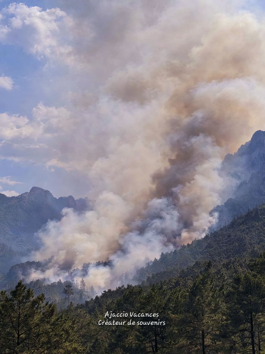 Association Prévention & Signalement Feux De Forêt tweet media