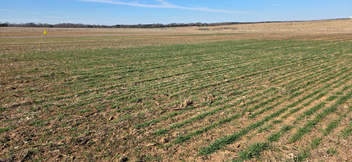 Fernando Oreja tweet media