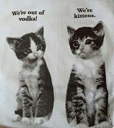 xandybug's tweet image. #moothunt #promotwt 
PLEASE MOOT ME UP GUYS 
IM ACTIVE
i need to get unshadowbanned guys 
she/her
im 18
15+
all sh is censored!
I LOVE ⭐️VING MYSELF
I LOVE SUBSTANCES
I LOVE S/H!
im cool guys i promise bmf 🥹❤️
#edtwt
#shedtwt
#drugtwt
#shtwt
#anatwt
#weedtwt