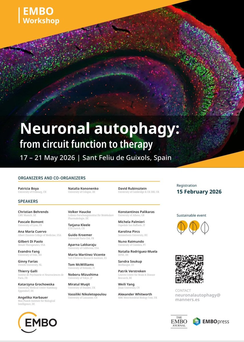 Women in Autophagy tweet media