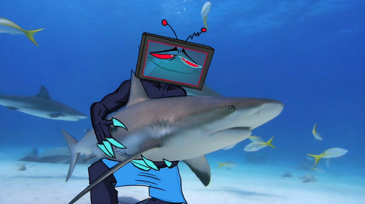 katreno101's tweet image. Vox loves sharks guys