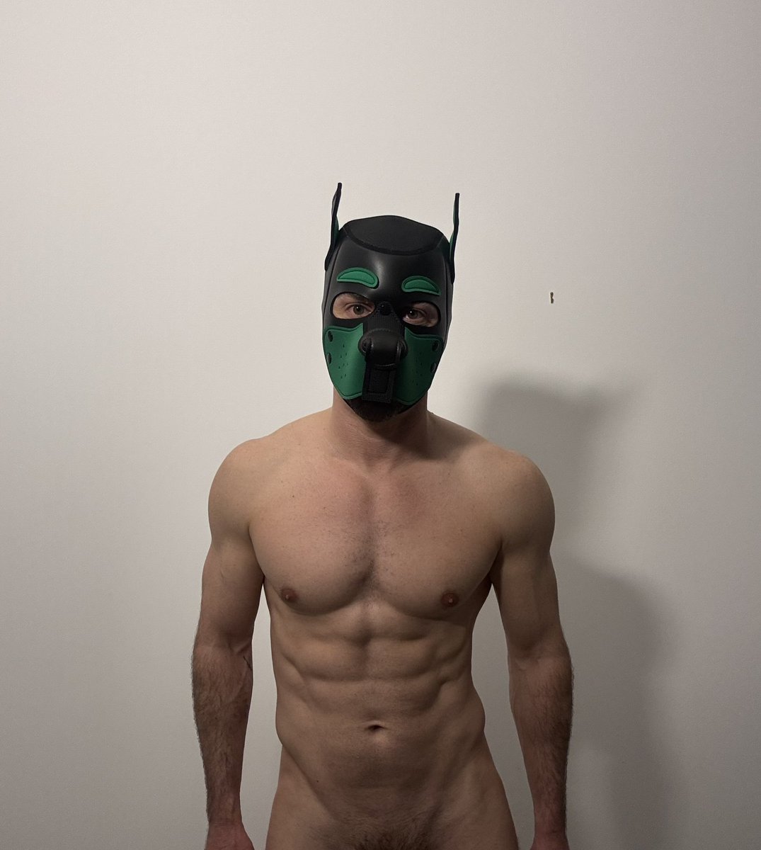 Finn's Playground (Austin Apr 2-5) tweet media