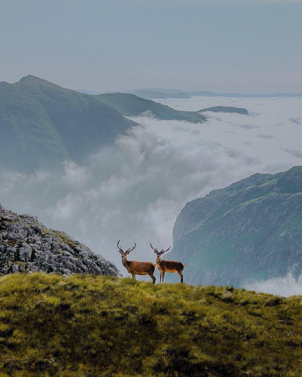The glorious magnificence of Glencoe, Scotland 🏴󠁧󠁢󠁳󠁣󠁴󠁿

Photo credit: Pete Elliott Photography.
