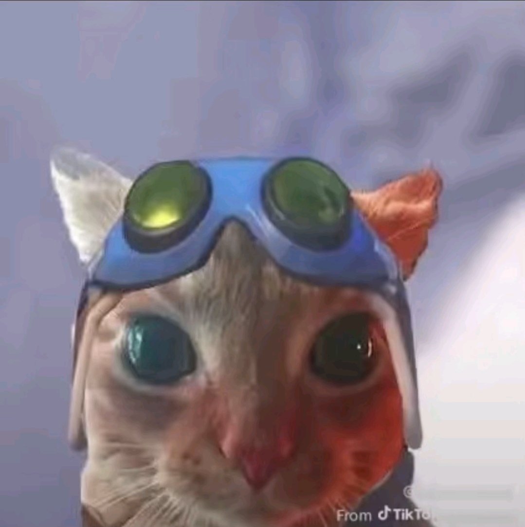 ShinuPuppy tweet media