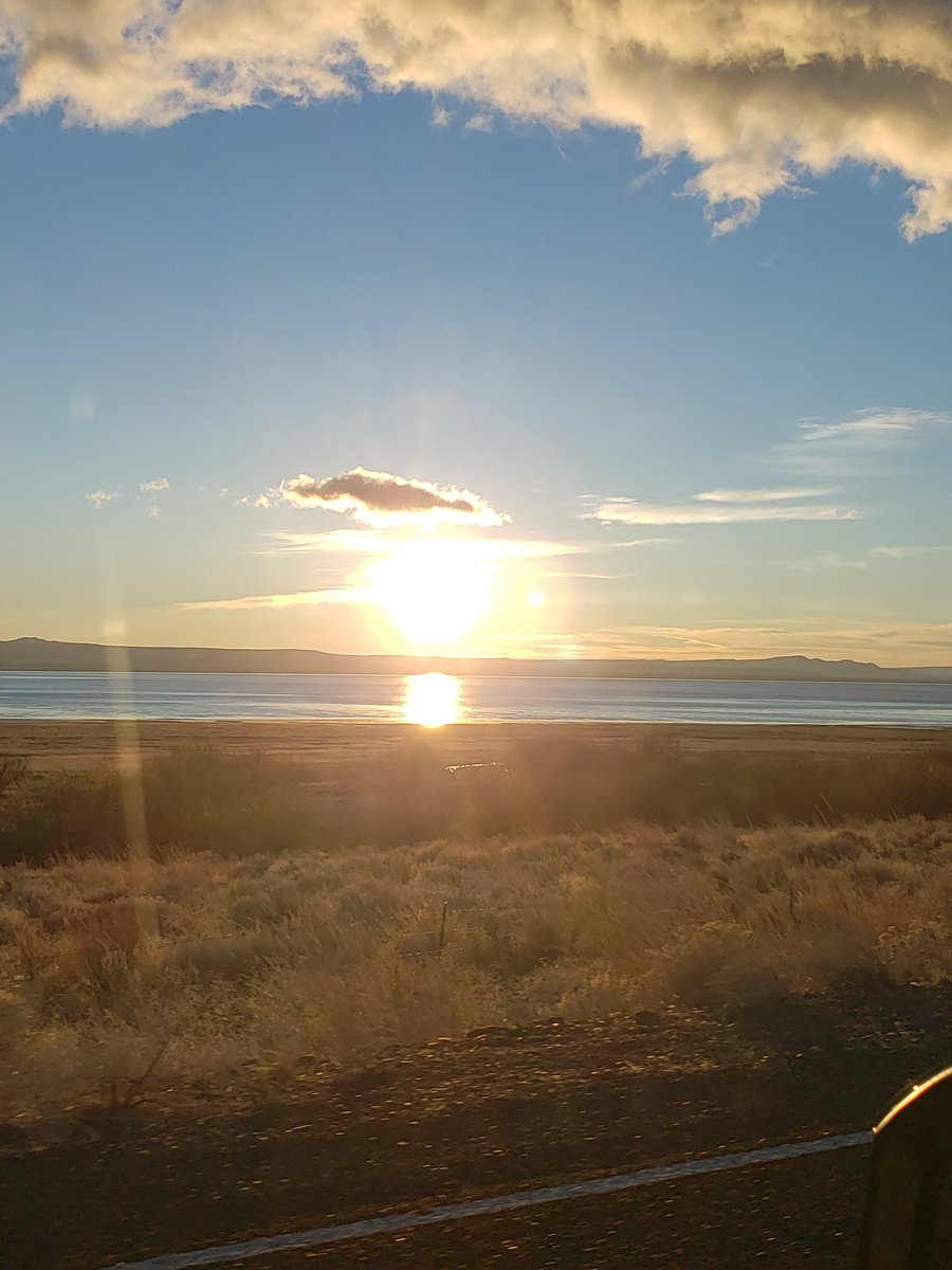 Oregon Outback, Open Range, and drivin' em home...check out this reel from the otherside of OR. instagram.com/reel/DU7gvwUDY…