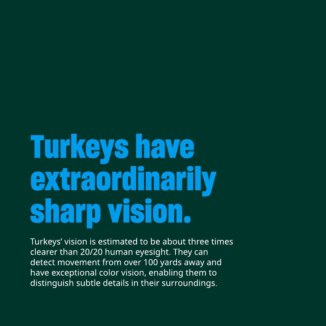 Humane World Farm Animals tweet media