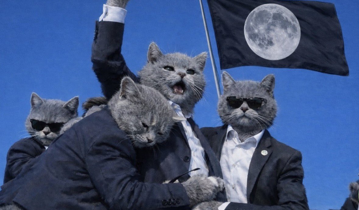 CATDAYCOMING

<a href="/officialcatcoin/">Official Catcoin</a> 
＃catcoin
#eth
only catcoin