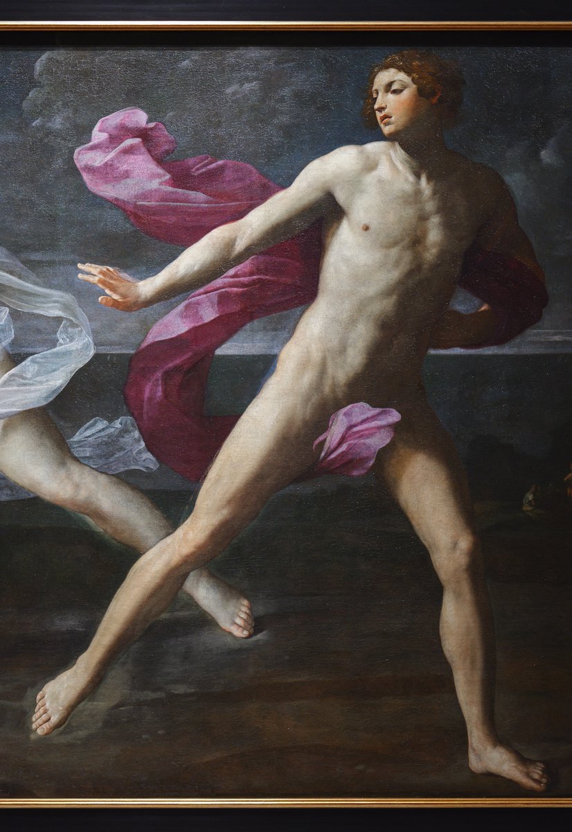 Benjamin Esteves tweet media