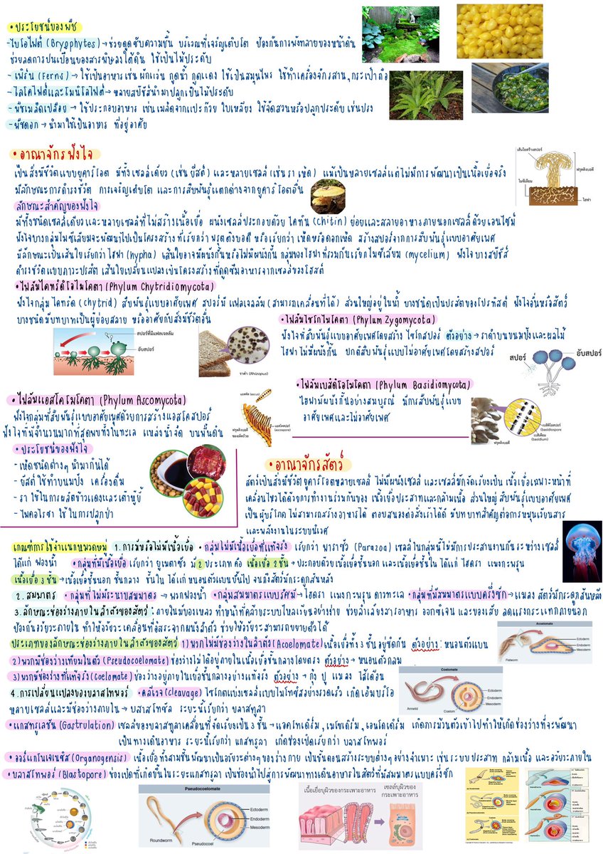 รับทำการบ้าน,รับลอกงาน 📍ทักไลน์เท่านั้น⭐️ tweet media