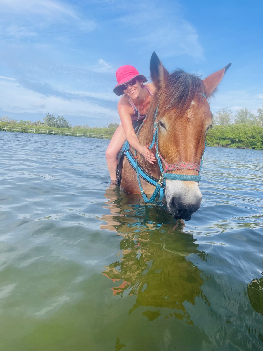 DebraOrringer's tweet photo. Planning Travel This Year? - https://t.co/iUYBa89A2G you book anything, connect with me. From weekend getaways to dream journeys, I design travel that feels seamless and intentionally planned. No booking fees for hotels. Added value where it matters. #CuratedByDebO #DebraOrringer https://t.co/as1vW860jK