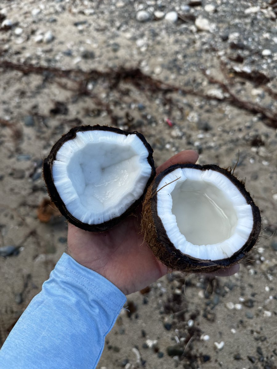 MolBioMike tweet media