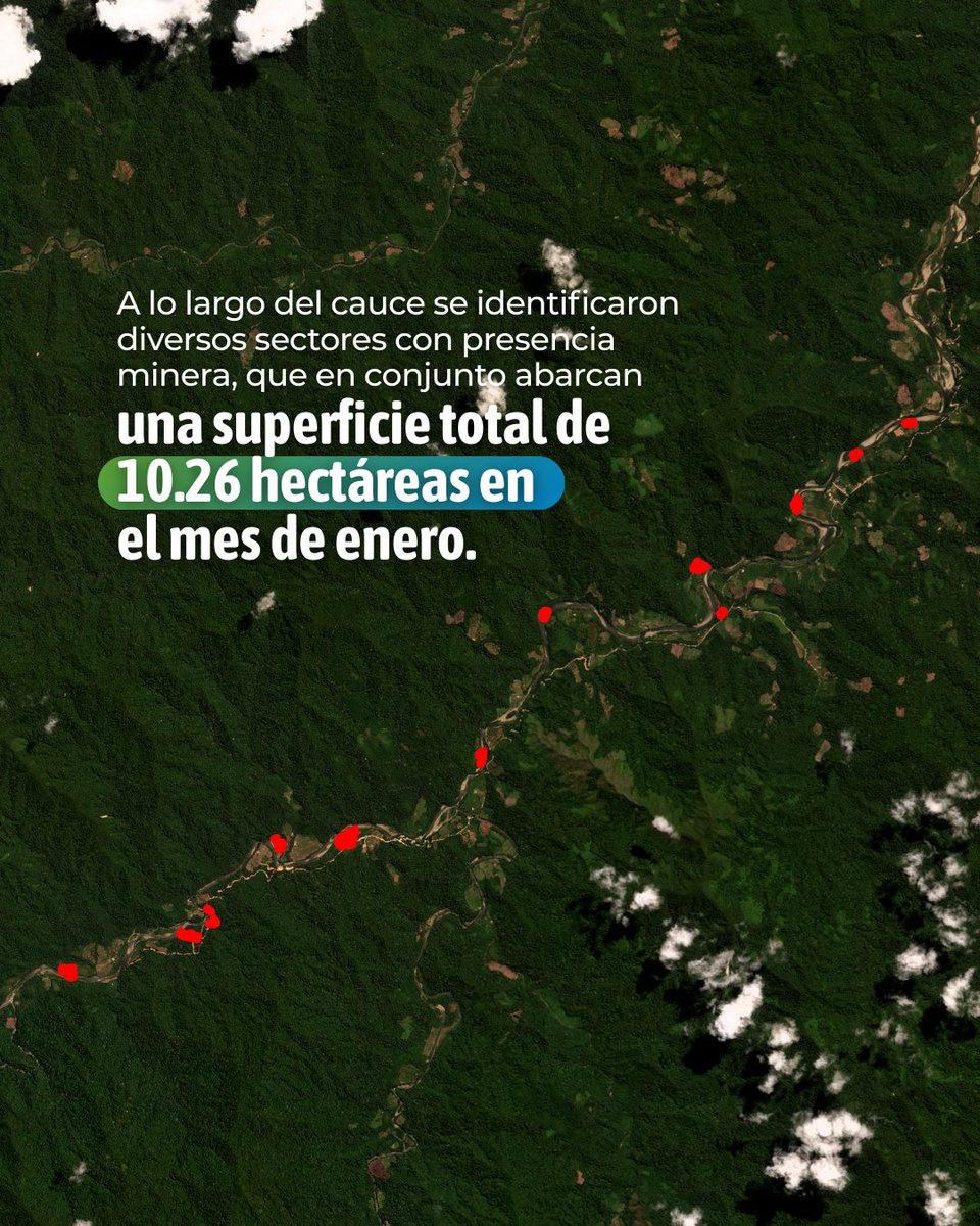 Conservación Amazónica - ACCA tweet media