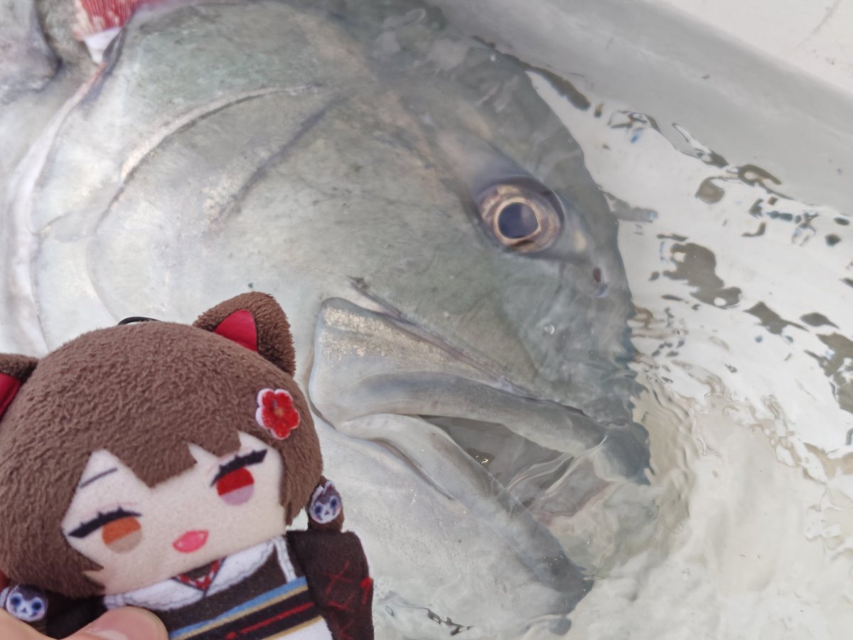 戌亥とこ🍹 (@inui_toko) / Posts / X