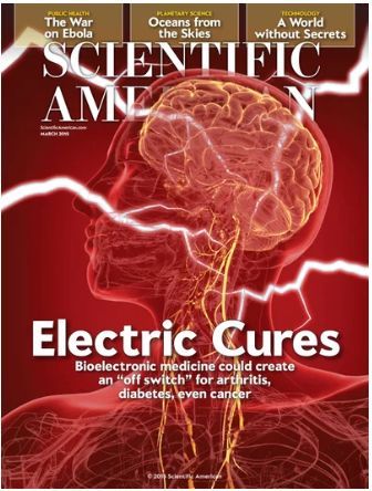 Otto Loewi’s vagusstoff discovery showed how the vagus nerve acts like a brake on heart rate. Nearly 75 years later, our lab’s work showed that vagus nerve signaling acts like a  brake on cytokine release and inflammation. The “inflammatory reflex” opened the door to